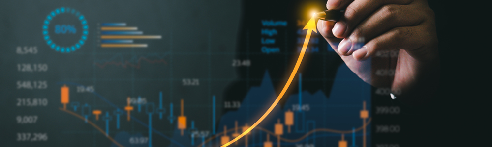 Licence en Business Economics