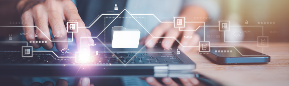 Licence en Management