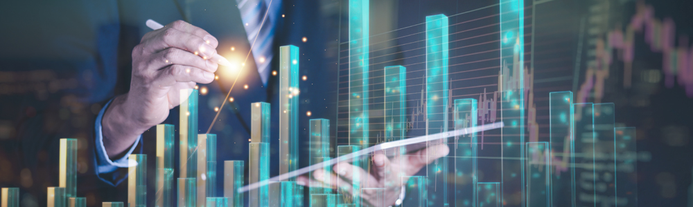 Licence en Business Computing